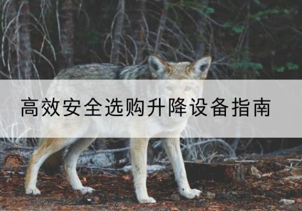 盐津升降货梯厂家推荐-*安全选购升降设备指南