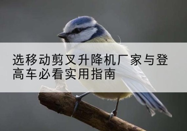 盐津电动升降机厂家-选移动剪叉升降机厂家与登高车必看实用指南